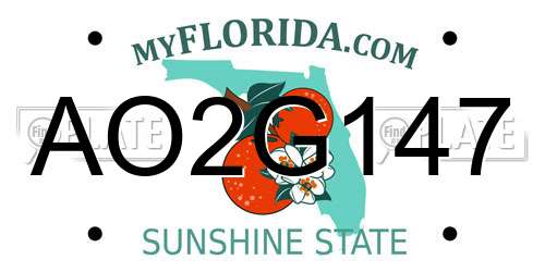 AO2G147 Florida License Plate