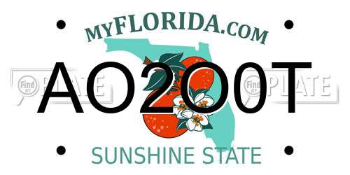 AO2O0T Florida License Plate