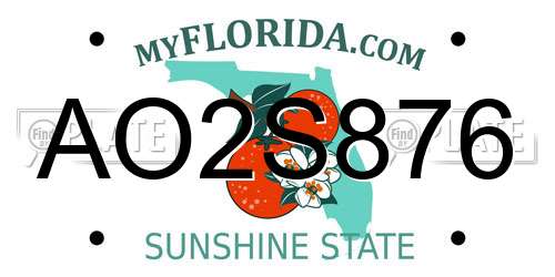 AO2S876 Florida License Plate