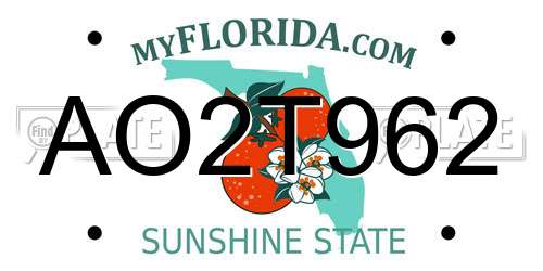 AO2T962 Florida License Plate