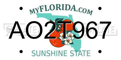 AO2T967 Florida License Plate