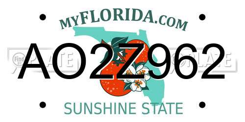 AO2Z962 Florida License Plate