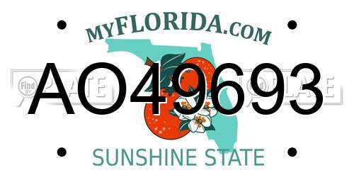 AO49693 Florida License Plate
