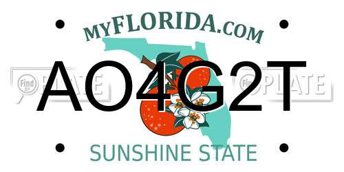 AO4G2T Florida License Plate