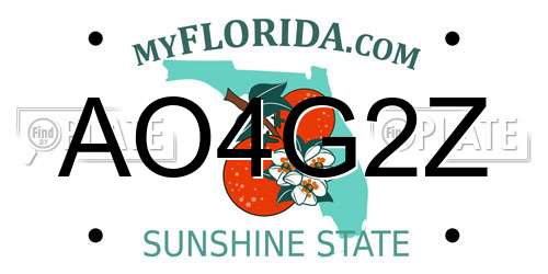 AO4G2Z Florida License Plate