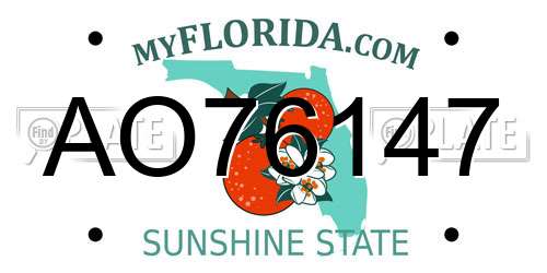 AO76147 Florida License Plate