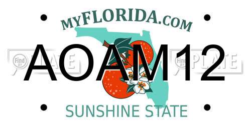 AOAM12 Florida License Plate