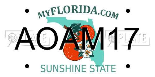 AOAM17 Florida License Plate