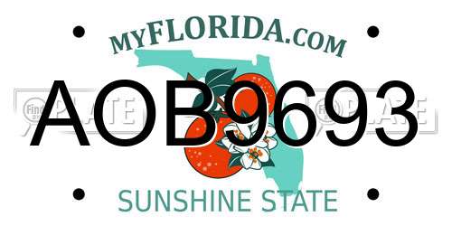AOB9693 Florida License Plate