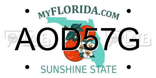 AOD57G Florida License Plate