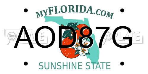 AOD87G Florida License Plate