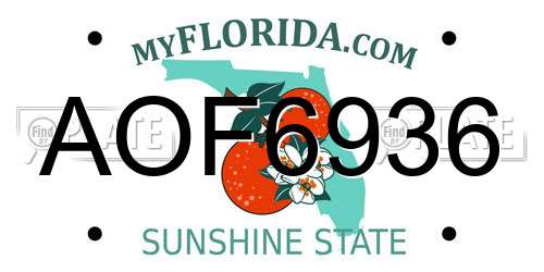 AOF6936 Florida License Plate