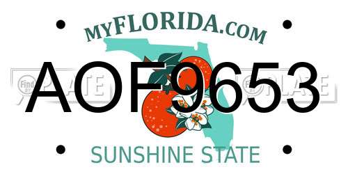 AOF9653 Florida License Plate