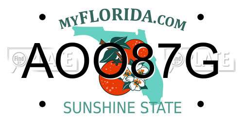 AOO87G Florida License Plate