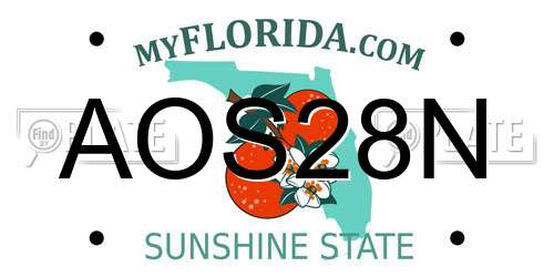 AOS28N Florida License Plate