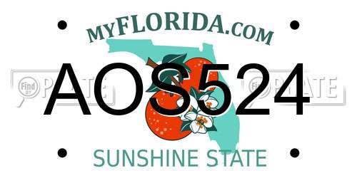 AOS524 Florida License Plate