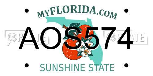 AOS574 Florida License Plate