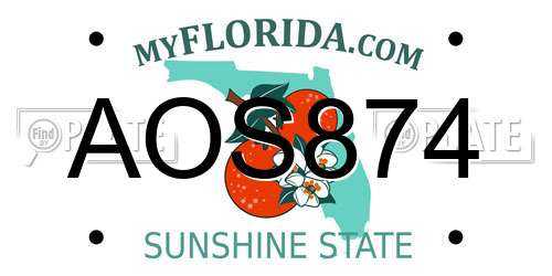 AOS874 Florida License Plate