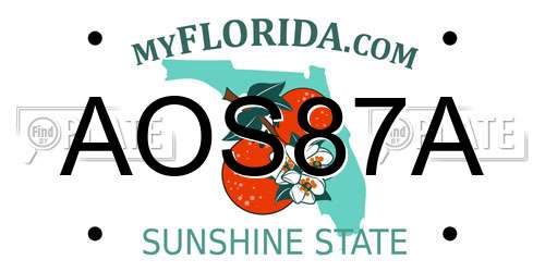 AOS87A Florida License Plate