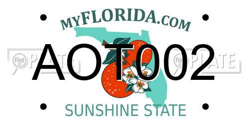 AOT002 Florida License Plate