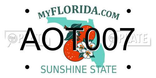 AOT007 Florida License Plate