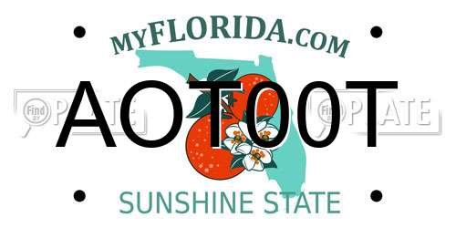 AOT00T Florida License Plate