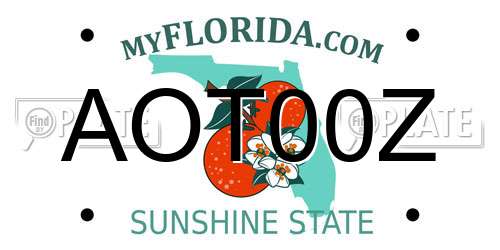 AOT00Z Florida License Plate