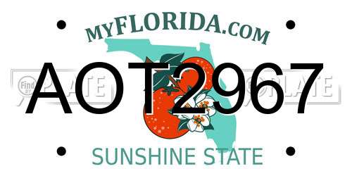 AOT2967 Florida License Plate