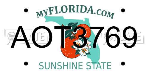 AOT3769 Florida License Plate