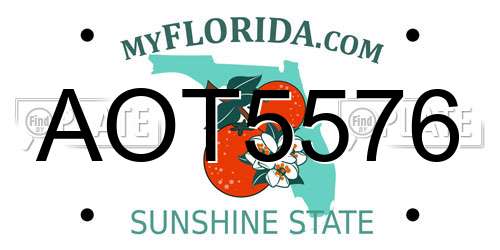 AOT5576 Florida License Plate