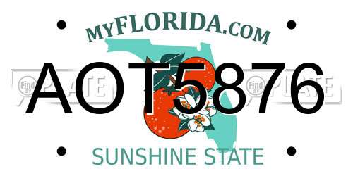 AOT5876 Florida License Plate