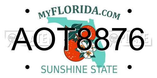 AOT8876 Florida License Plate