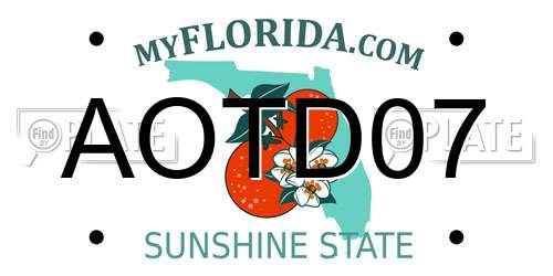AOTD07 Florida License Plate