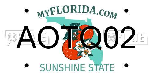 AOTQ02 Florida License Plate