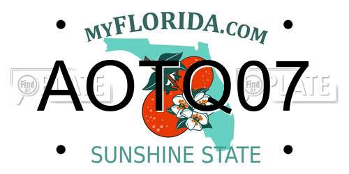 AOTQ07 Florida License Plate