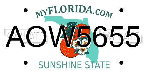 AOW5655 Florida License Plate