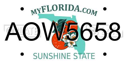 AOW5658 Florida License Plate