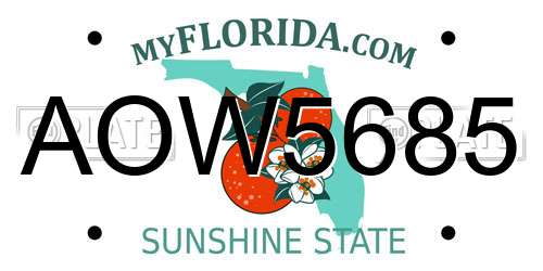 AOW5685 Florida License Plate