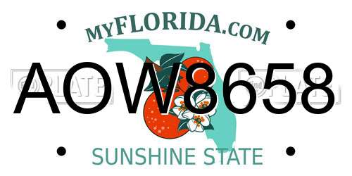 AOW8658 Florida License Plate