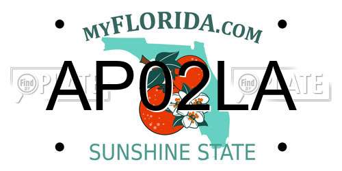 AP02LA Florida License Plate