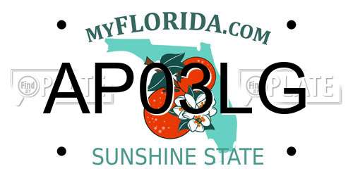 AP03LG Florida License Plate