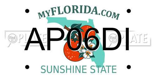 AP06DI Florida License Plate