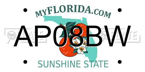 AP08BW Florida License Plate