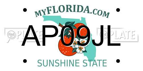 AP09JL Florida License Plate