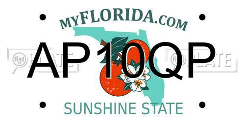 AP10QP Florida License Plate
