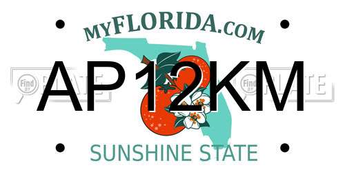 AP12KM Florida License Plate