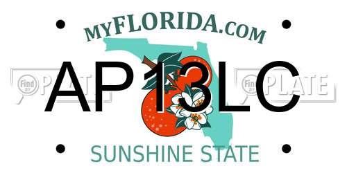 AP13LC Florida License Plate