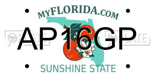 AP16GP Florida License Plate