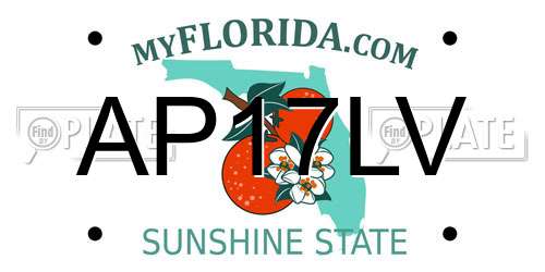 AP17LV Florida License Plate