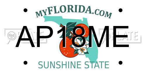 AP18ME Florida License Plate